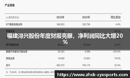 福建浔兴股份年度财报亮眼，净利润同比大增20%